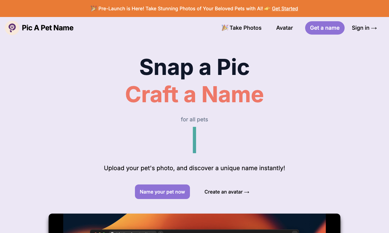Pic A Pet Name — интерфейс